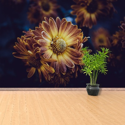 Wallpaper Yellow flower