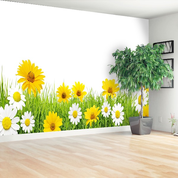 Wallpaper Grass chamomile