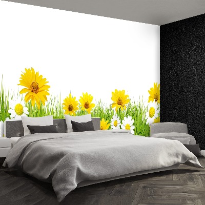 Wallpaper Grass chamomile