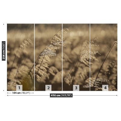 Wallpaper Beige reed