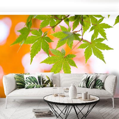 Wallpaper Maple leaves