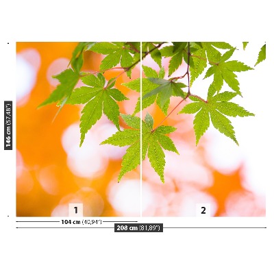 Wallpaper Maple leaves