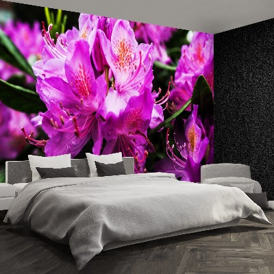 Wallpaper Violet flowers