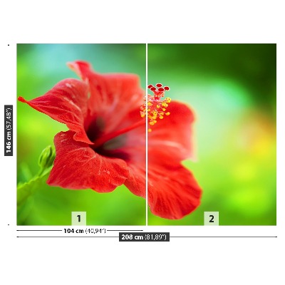 Wallpaper Hibiscus red