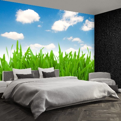 Wallpaper Grass sky