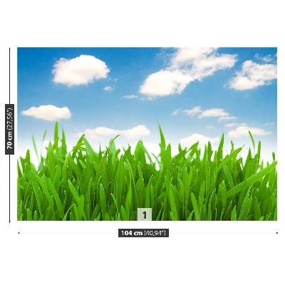 Wallpaper Grass sky