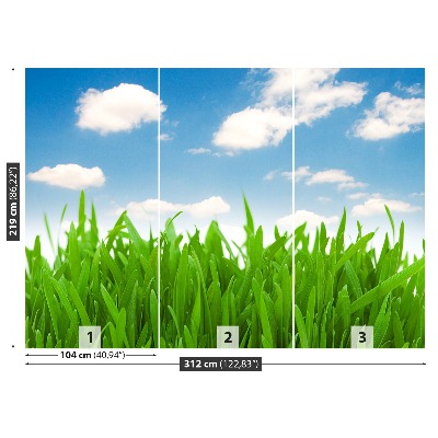 Wallpaper Grass sky