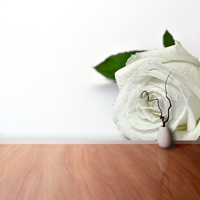 Wallpaper White rose