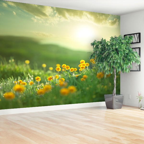 Wallpaper Meadow