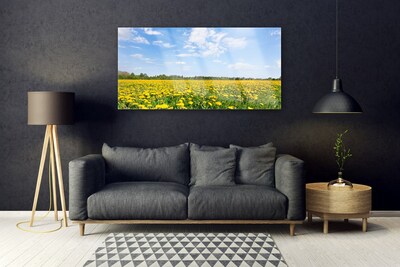 Acrylic Print Dandelion meadow landscape yellow blue
