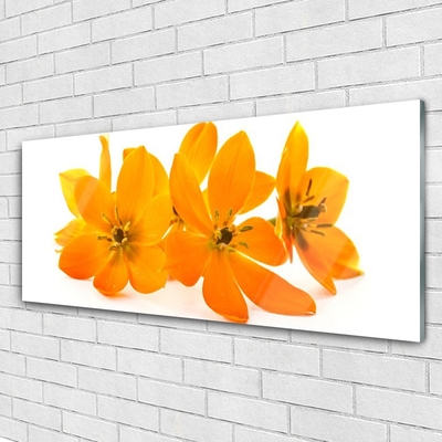 Acrylic Print Flowers floral orange