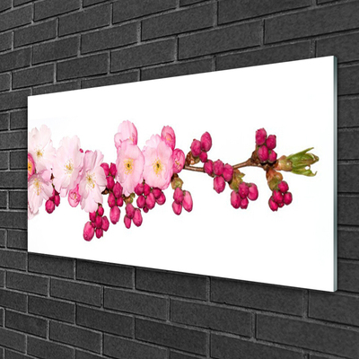 Acrylic Print Flower branch floral pink