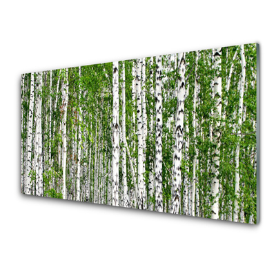 Acrylic Print Birch forest trees nature green white