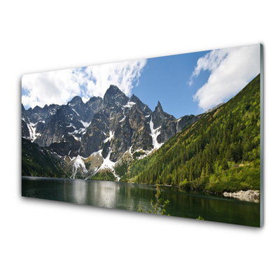 Acrylic Print Mountain lake forest landscape green blue white grey