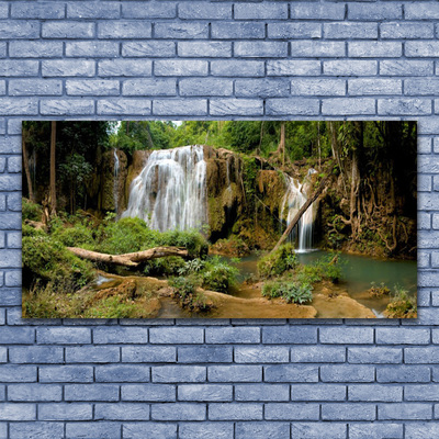 Acrylic Print Waterfall river forest nature green brown