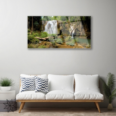 Acrylic Print Waterfall river forest nature green brown