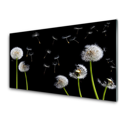 Acrylic Print Dandelions floral black green white