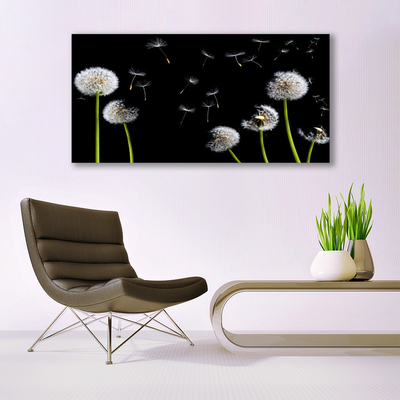 Acrylic Print Dandelions floral black green white