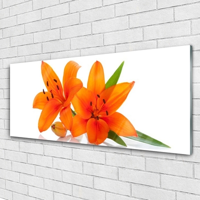 Acrylic Print Flowers floral orange green white