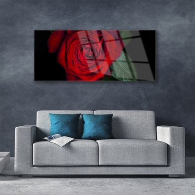 Acrylic Print Rose floral red green black