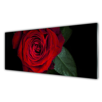 Acrylic Print Rose floral red green black