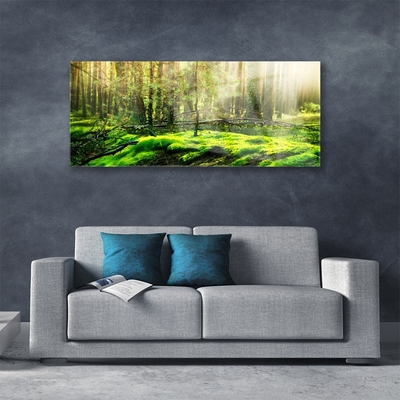 Acrylic Print Moss forest nature green