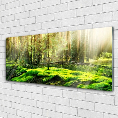 Acrylic Print Moss forest nature green