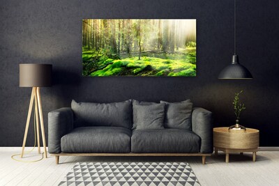 Acrylic Print Moss forest nature green