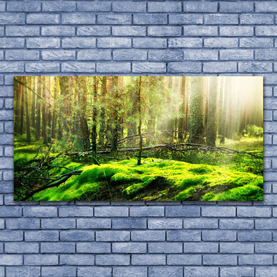 Acrylic Print Moss forest nature green