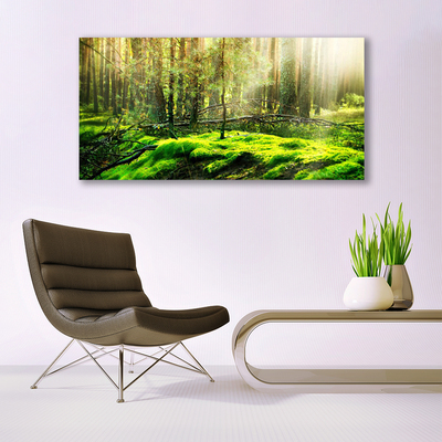 Acrylic Print Moss forest nature green