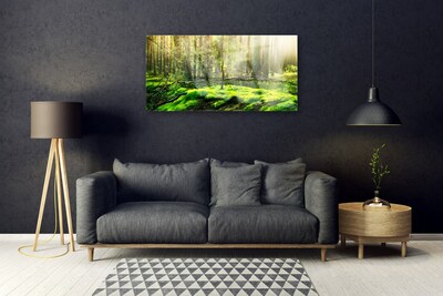 Acrylic Print Moss forest nature green