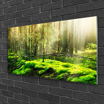 Acrylic Print Moss forest nature green