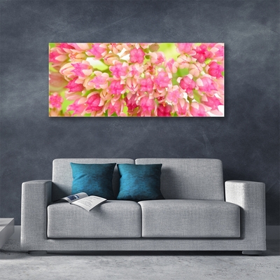 Acrylic Print Flower blossom floral pink