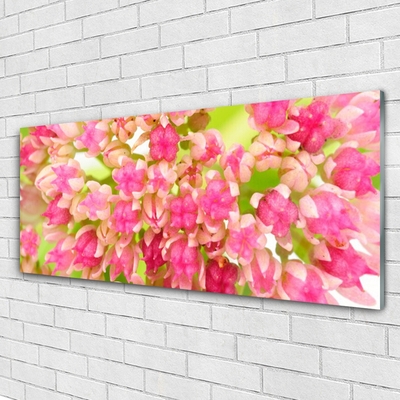 Acrylic Print Flower blossom floral pink