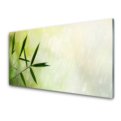 Acrylic Print Leaves rain floral green