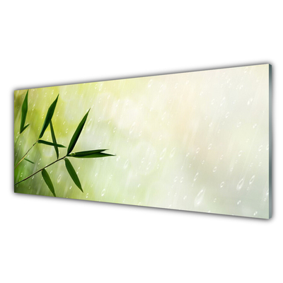 Acrylic Print Leaves rain floral green