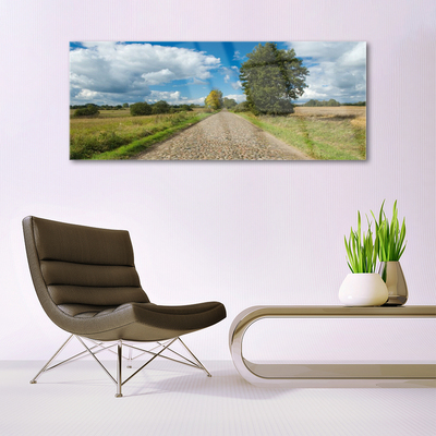 Acrylic Print Country road pavement landscape green blue