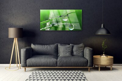 Acrylic Print Grass dew drops floral green
