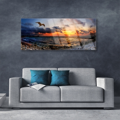 Acrylic Print Seagull sea beach landscape blue orange red