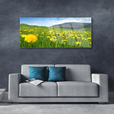 Acrylic Print Dandelion field nature yellow green blue