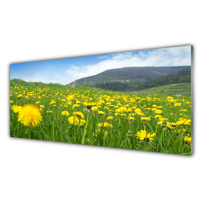 Acrylic Print Dandelion field nature yellow green blue