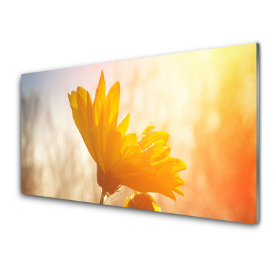 Acrylic Print Sunflower floral yellow
