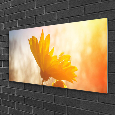 Acrylic Print Sunflower floral yellow