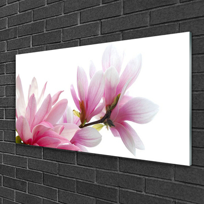 Acrylic Print Magnolia blossoms floral pink