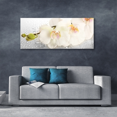 Acrylic Print Flowers floral white grey