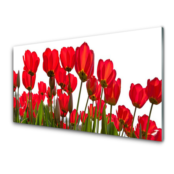 Acrylic Print Flowers floral red green white