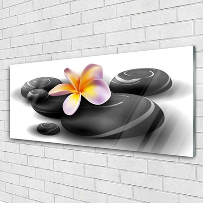 Acrylic Print Flower stones nature black yellow purple grey