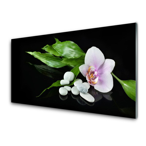 Acrylic Print Flower stones leaves floral white pink green black