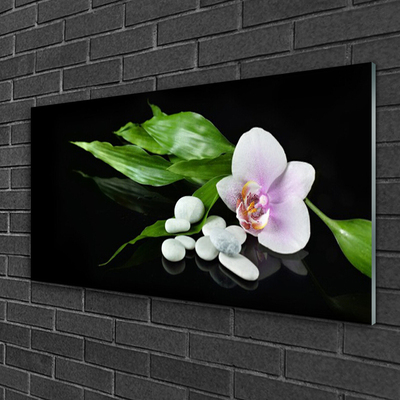 Acrylic Print Flower stones leaves floral white pink green black
