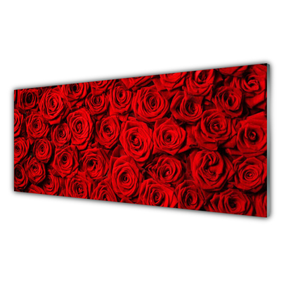 Acrylic Print Roses floral red green white